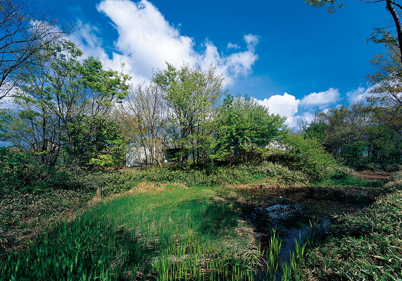 ギャラリーイメージ4