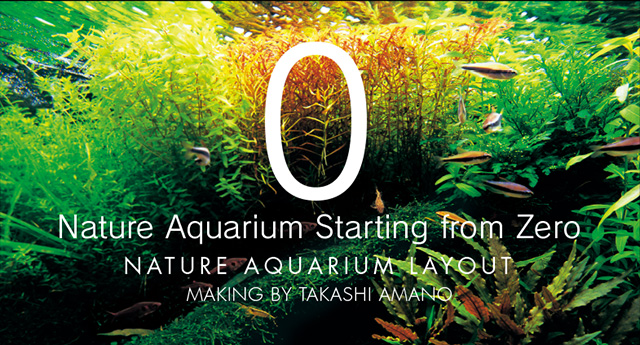 Importance Of Aquascaping - The Aquarium Art Of Science & Nature – Micro  Aquatic Shop