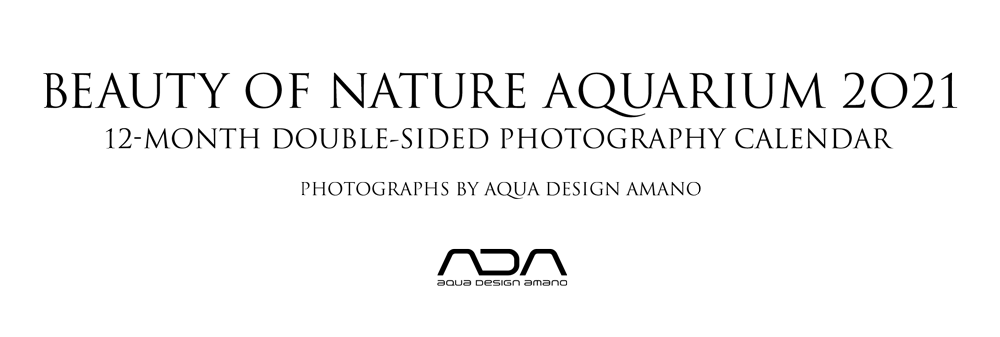 ネイチャーアクアリウム カレンダー 21 Ada