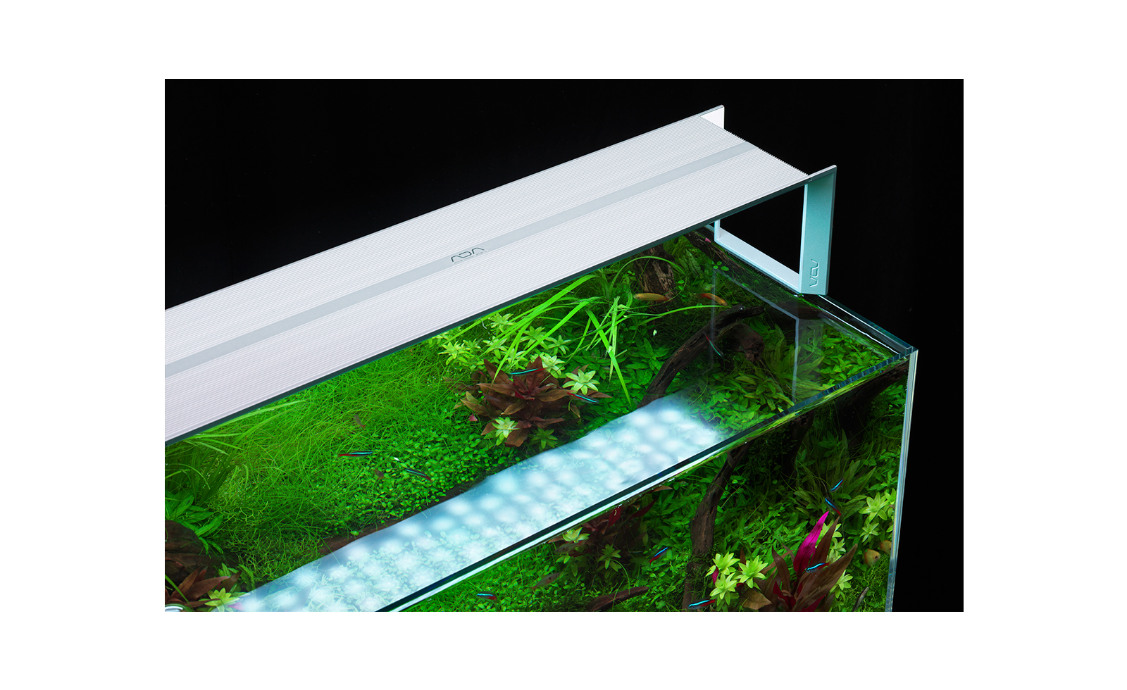 美品 ADA アクアスカイG301 箱付き 水草水槽 LEDライト 30cm - ペット用品