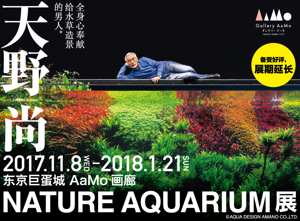 天野尚nature Aquarium展 由于备受观众的好评 特决定展期延长一周 Ada 新闻