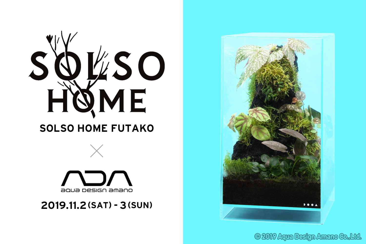 Solso Home Futako テラベース パルダリウム ワークショップ開催 Ada News Release
