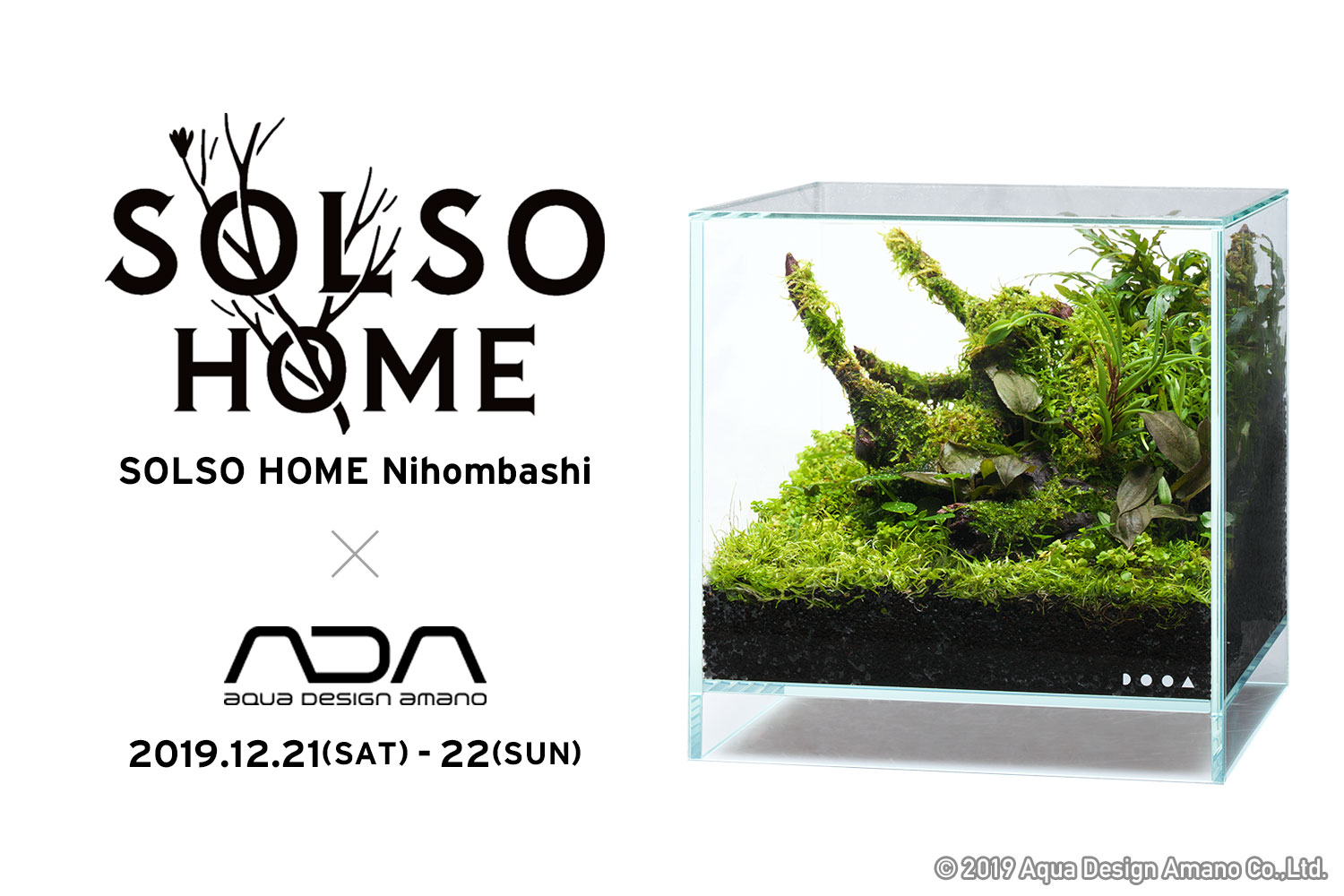 Solso Home Nihombashi パルダリウム ワークショップ開催 Ada News Release