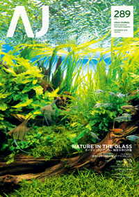 月刊杂志aqua Journal Vol 2 10月10日开始销售 Ada 新闻