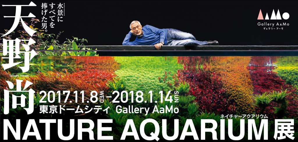 Takashi Amano Nature Aquarium Exhibition Will Be Held In Gallery mo Tokyo Dome City Ada News Release