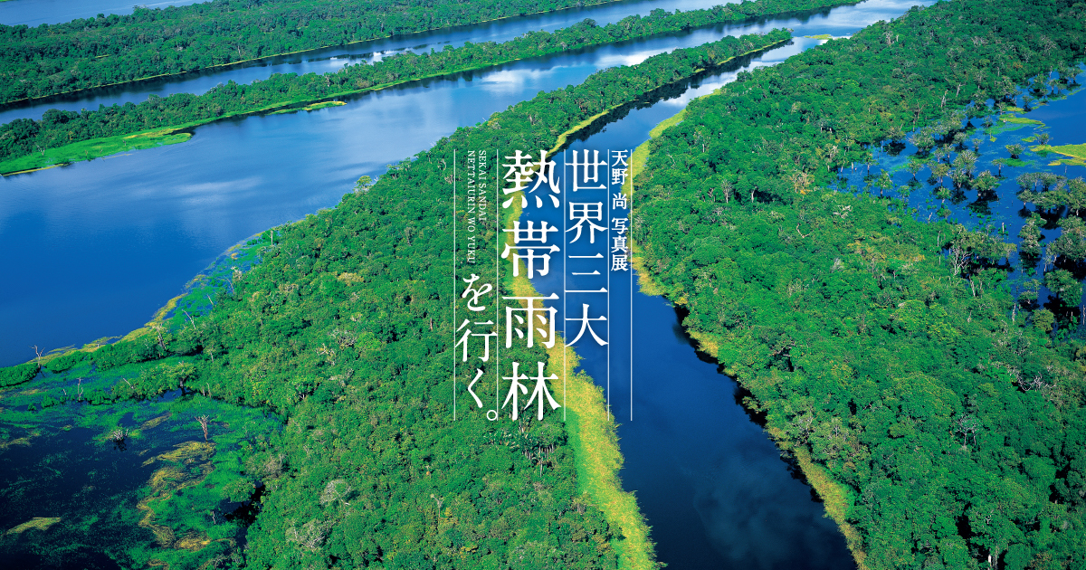 中之口先人館ギャラリー「天野 尚 写真展 世界三大 熱帯雨林を行く。」開催のお知らせ | ADA - NEWS RELEASE