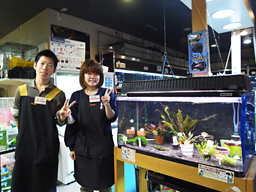 ペットハウスプーキー アルコ半田店 Aqua Design Amano 販売特約店