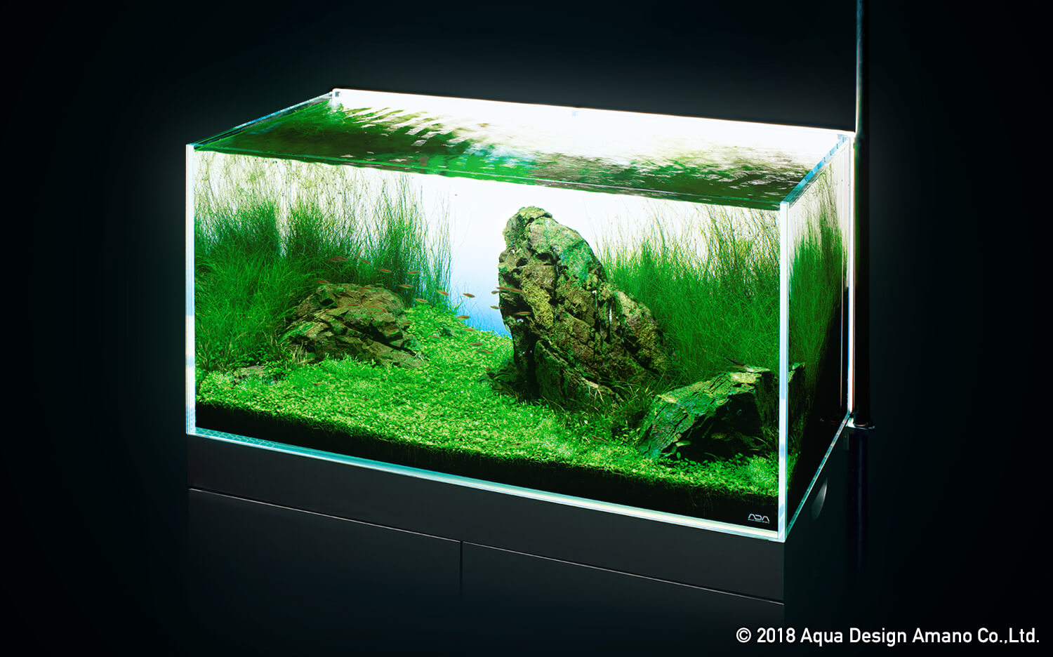 水景はより美しくなる 水槽用ledバックライトの光 Aqua Design Amano