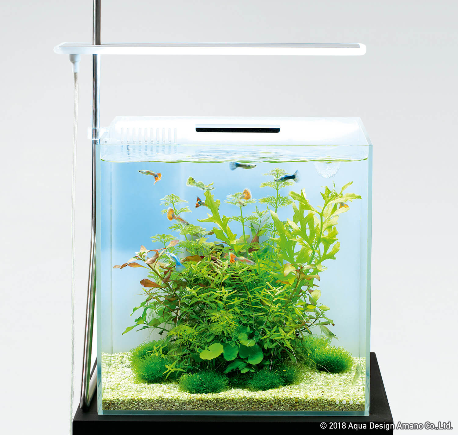 水草の健康な育成はそのままに 自由を手に入れた照明器具 Aqua Design Amano