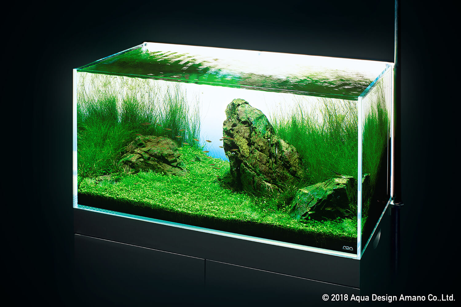 60 x 36cm水槽用】ライトスクリーンV2 無線調光機能付き - 魚用品/水草