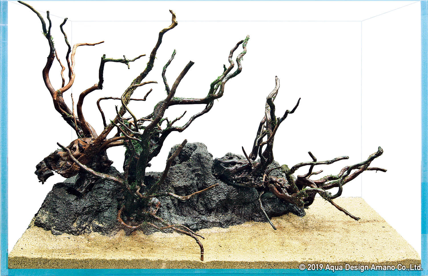 素材で決まる水景の印象-流木の組み方- | AQUA DESIGN AMANO