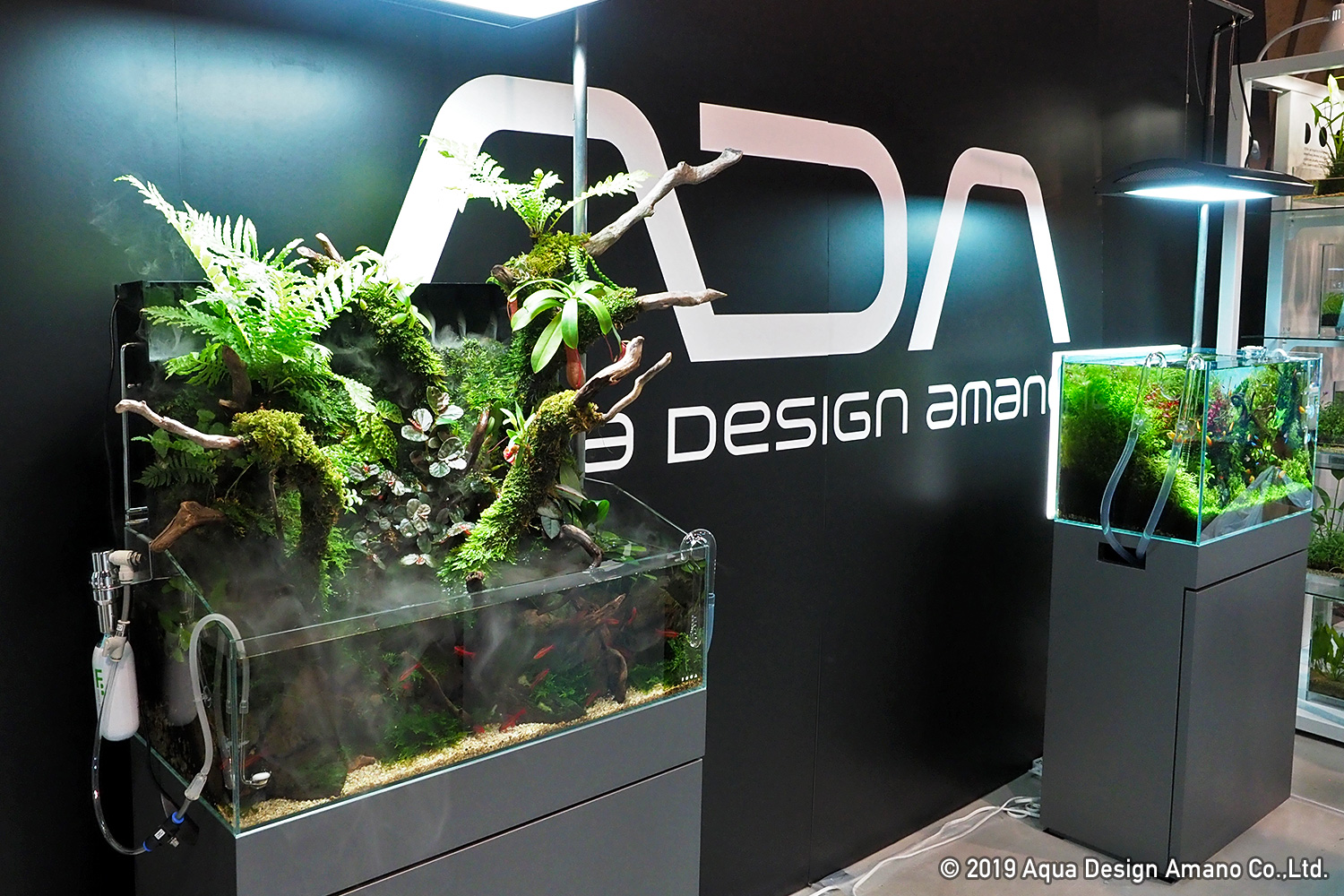 植物総合イベント 天下一植物界 レポート Aqua Design Amano
