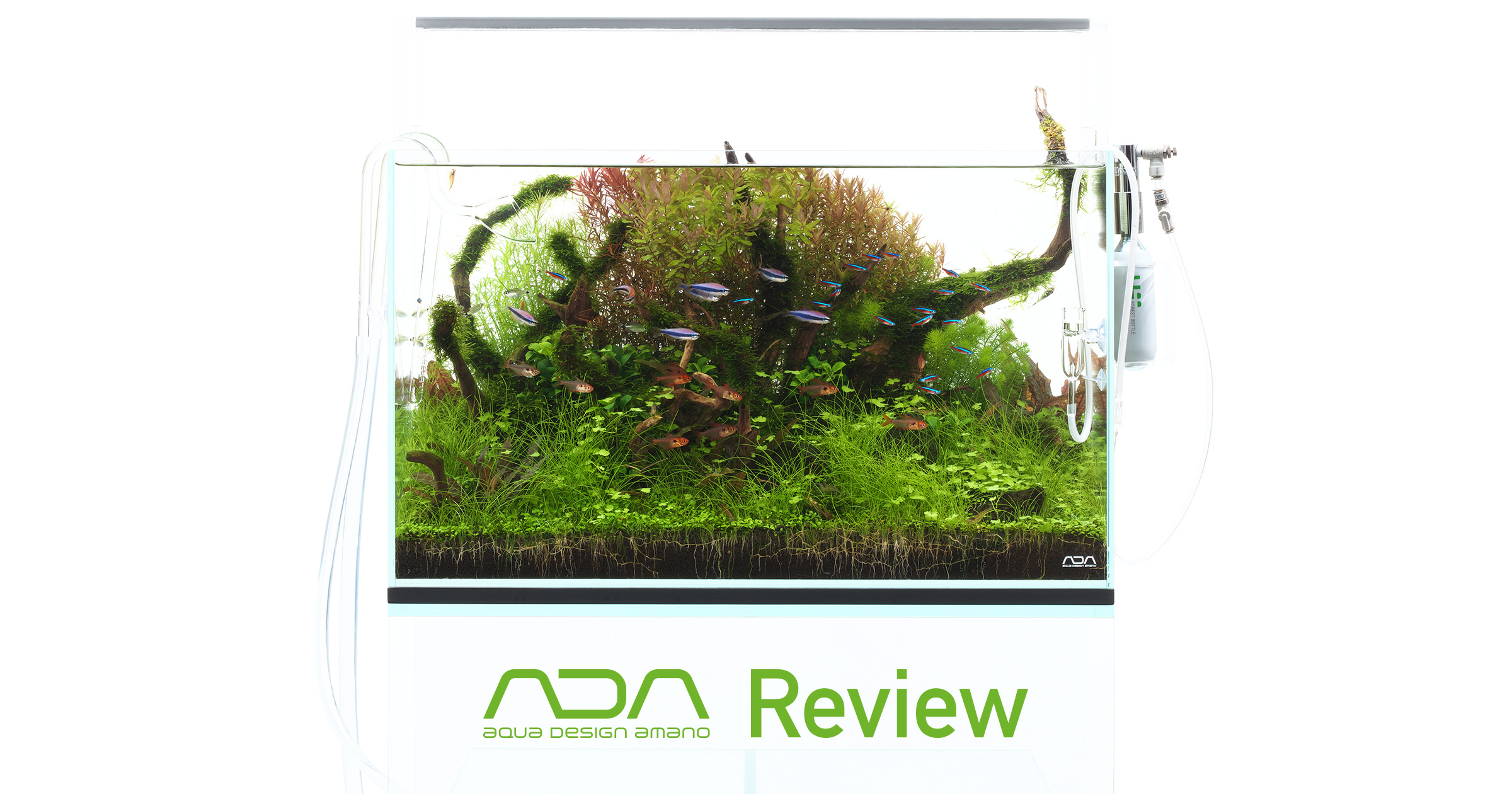 Ada Review 基本の60 水槽システム Aqua Design Amano