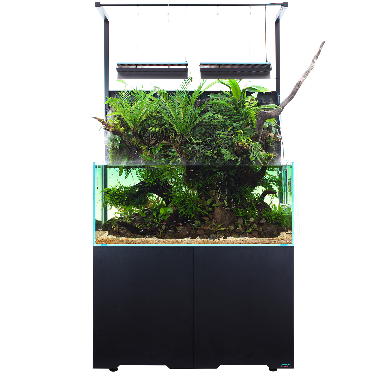 Mizukusa Mist Wall 熱帯植物を繁茂させる最新システム Aqua Design Amano