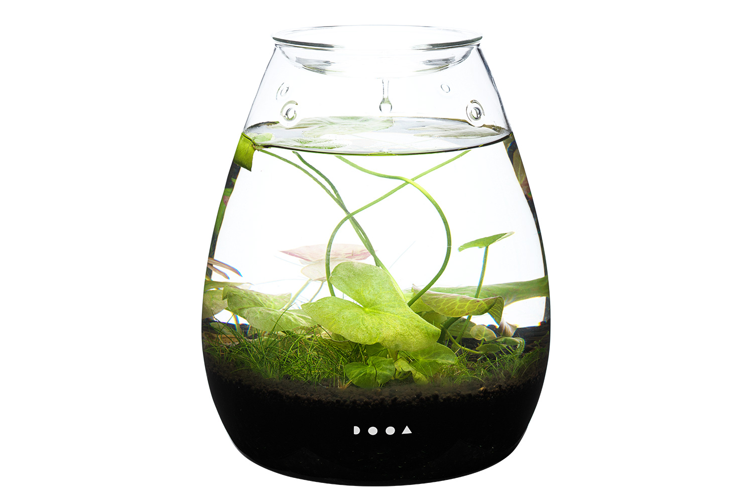 dooa glasspot shizuku セット - 魚用品/水草