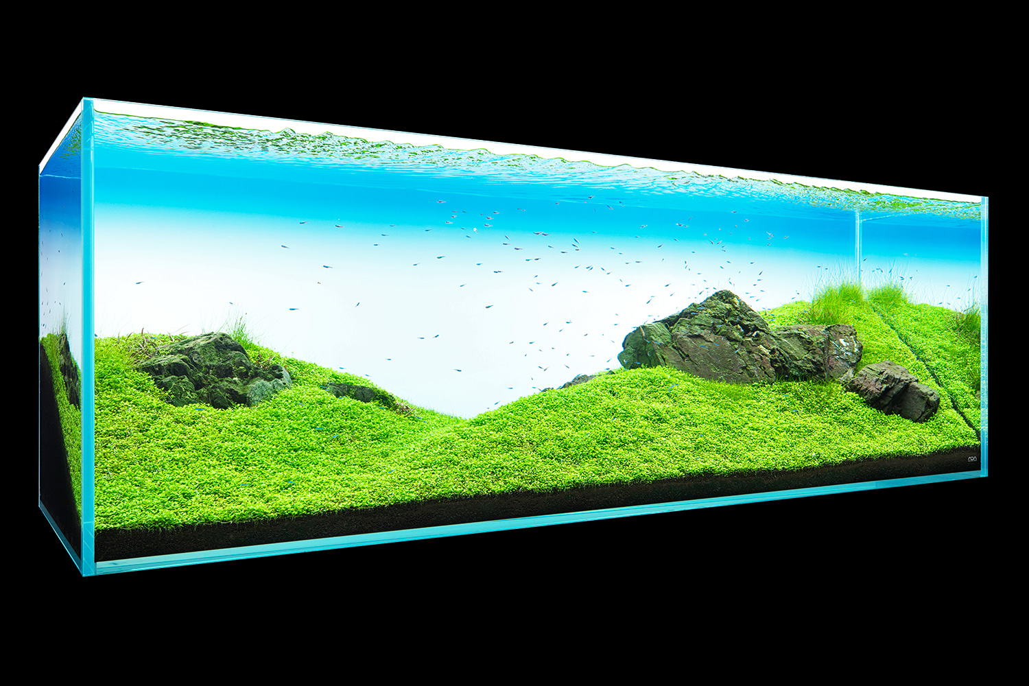 Nature In The Glass 風ぬける丘 Aqua Design Amano