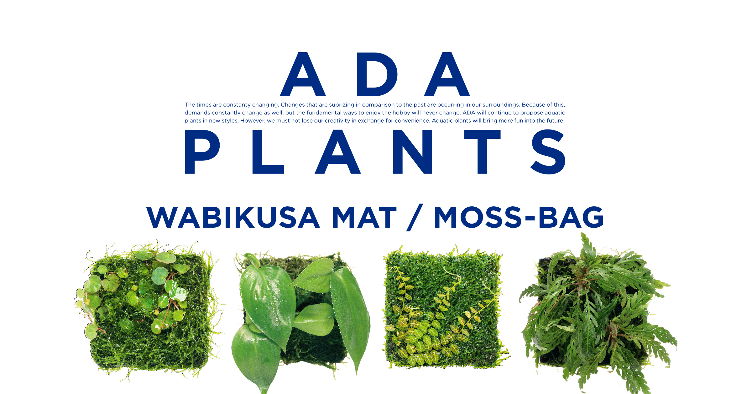 ADA PLANTS「佗び草マット/モスバッグ 10種」 | AQUA DESIGN AMANO