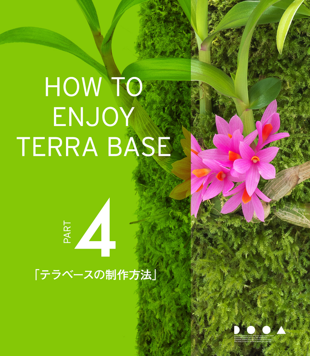 HOW TO ENJOY TERRA BASE PART4「テラベースの制作方法」