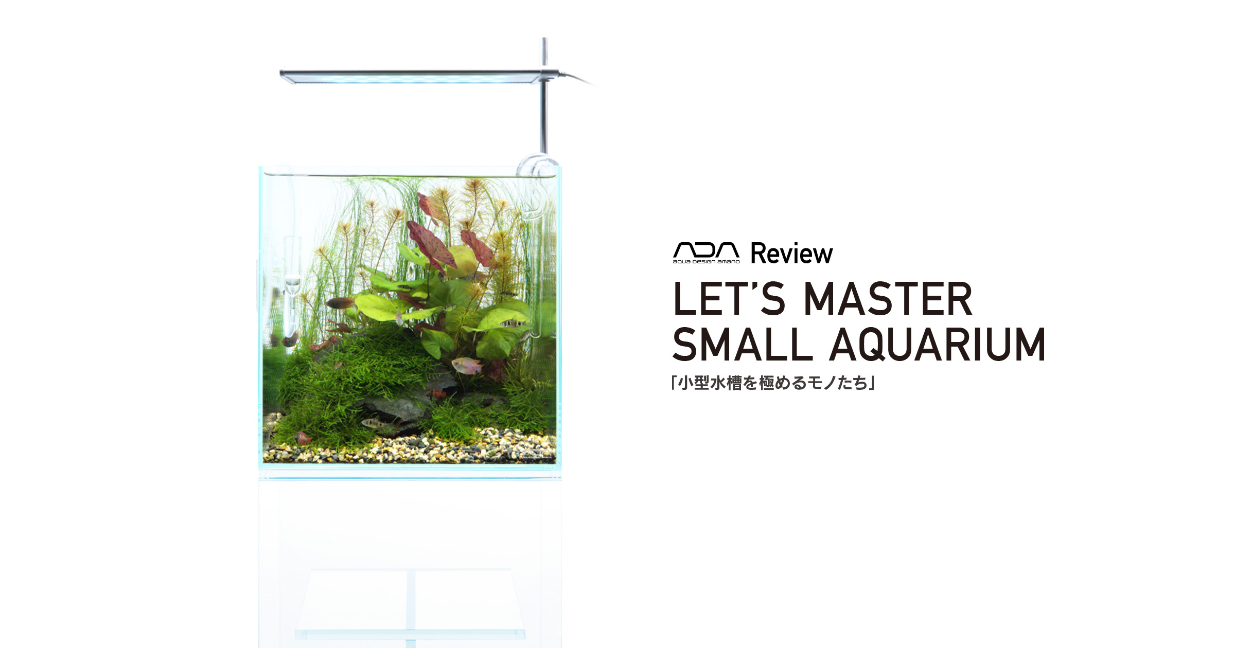 ADA Review 「小型水槽を極めるモノたち」 | AQUA DESIGN AMANO