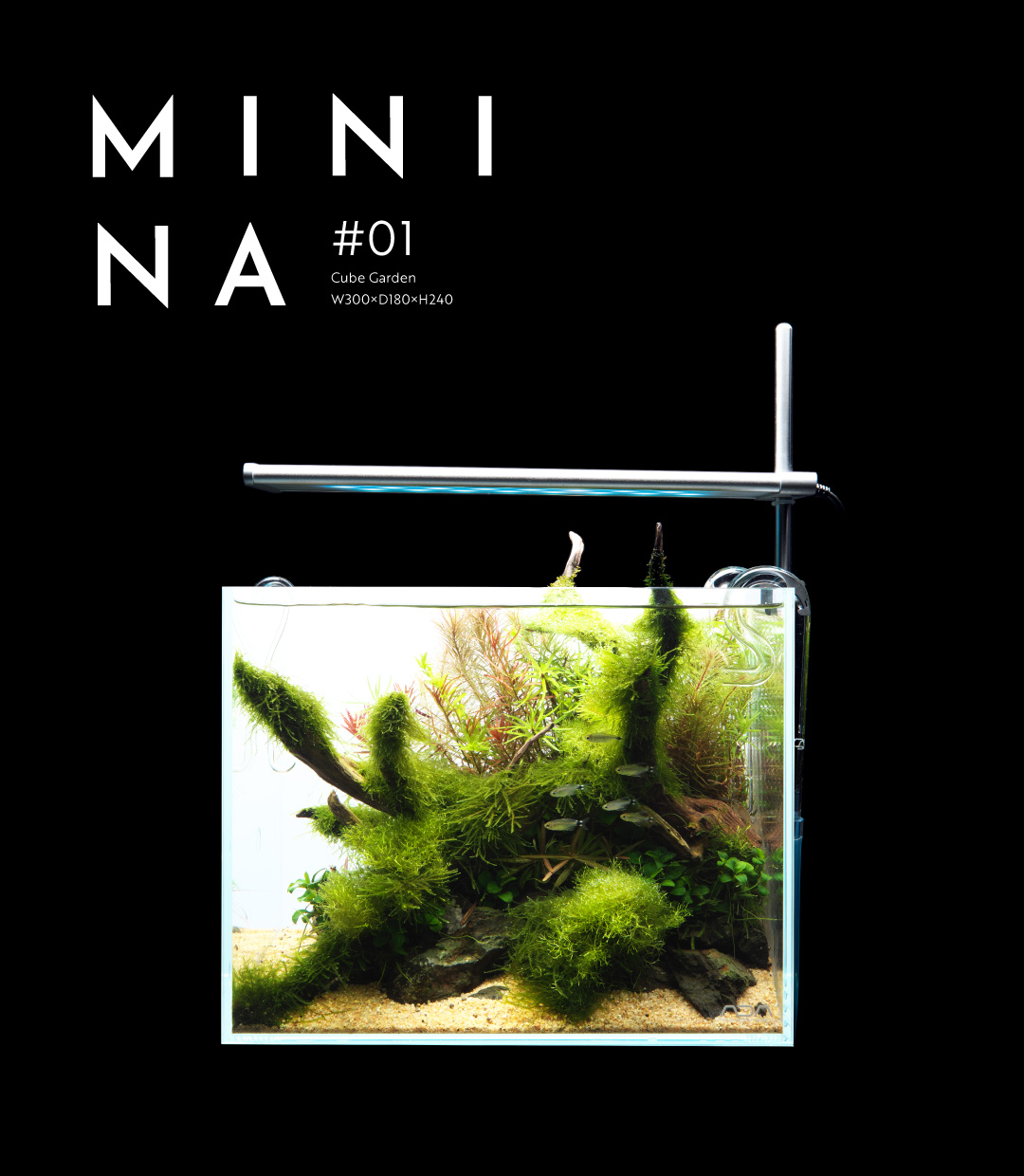 MINI NA_01 「目指すは完全無欠の小型水槽」