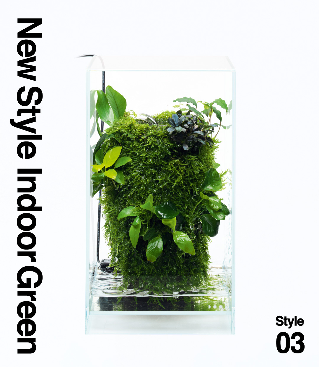 New Style Indoor Green – Style03