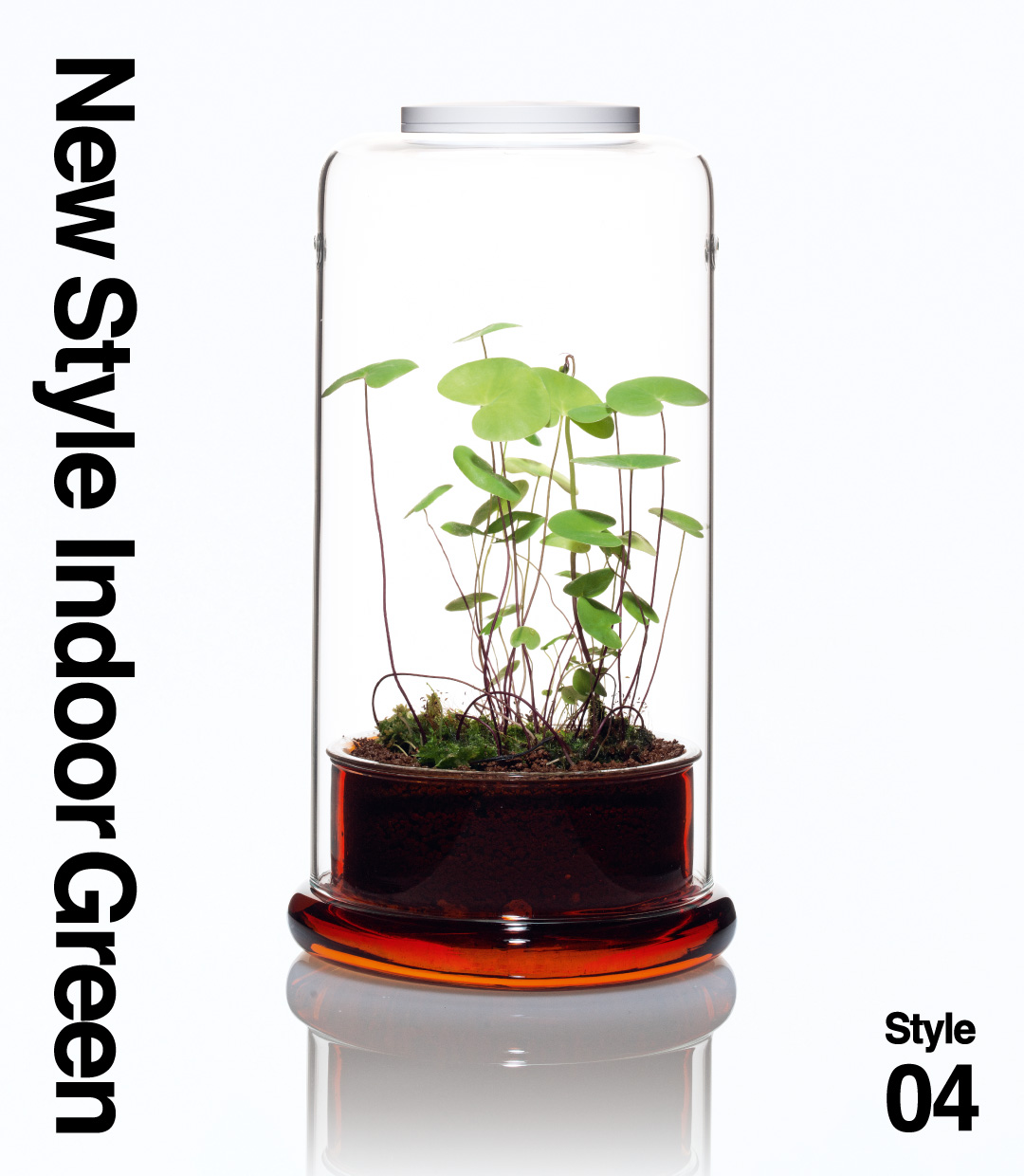 New Style Indoor Green – Style04