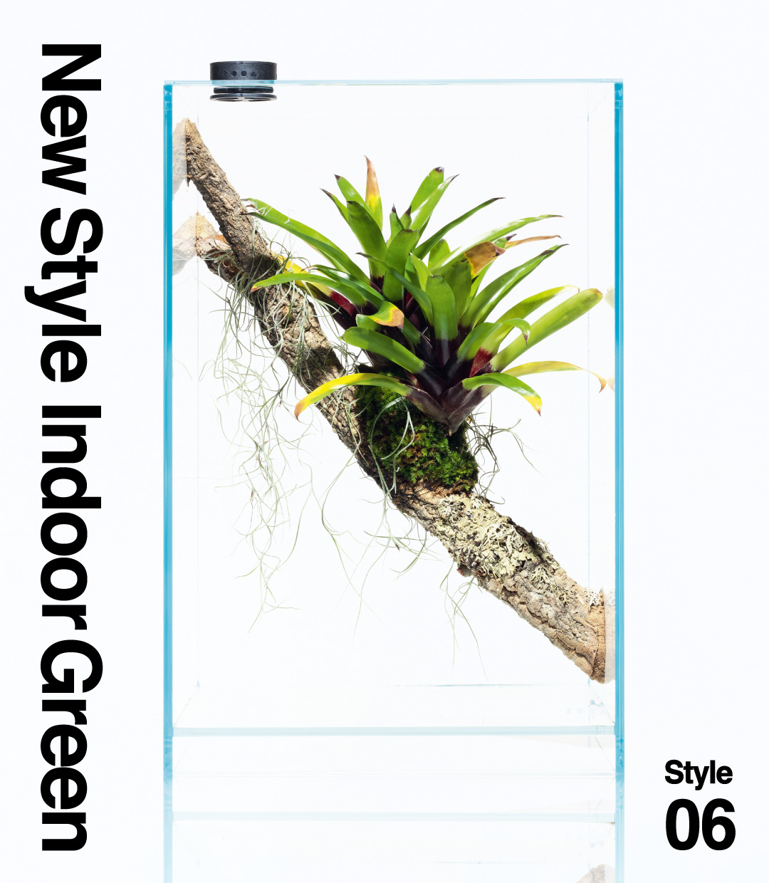 New Style Indoor Green – Style06