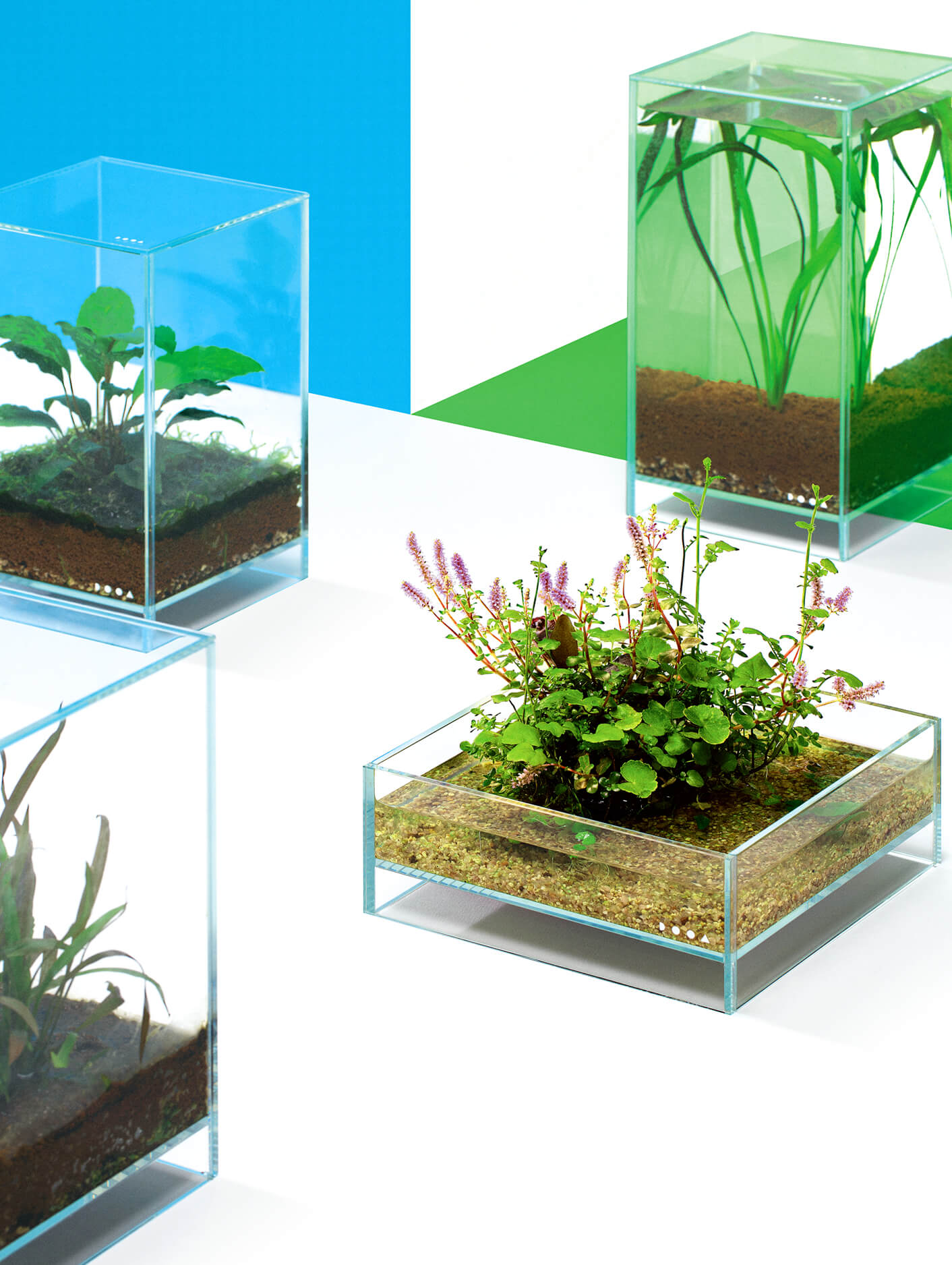 Small Aquarium | PRODUCTS | DOOA