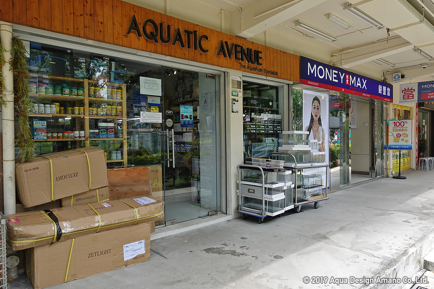 Aquatic Plant Affairs In The Worlds Greenest City Singapore Shops