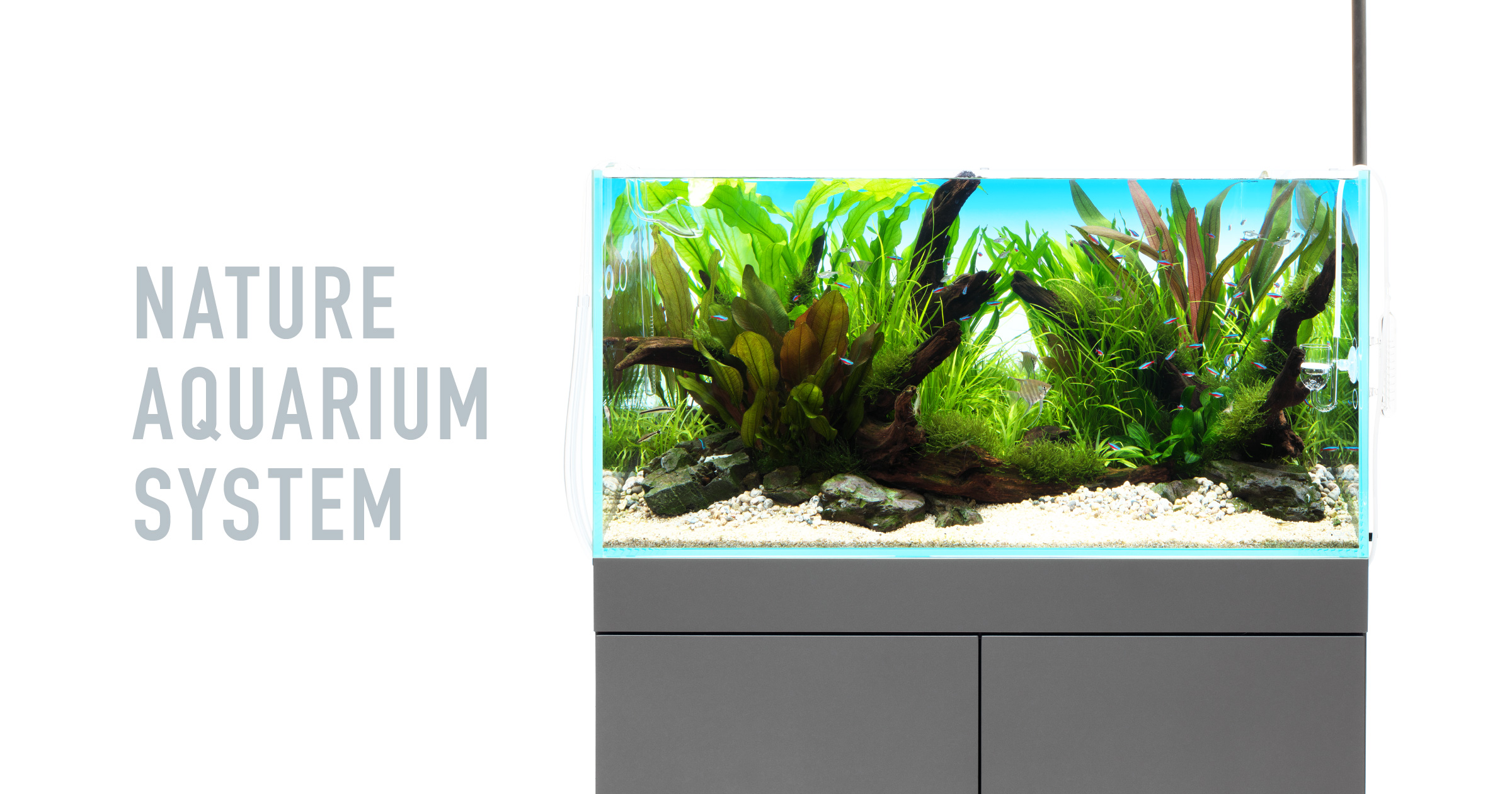 NA SYSTEM 'To Maximize the Beauty of Aquascapes' | en