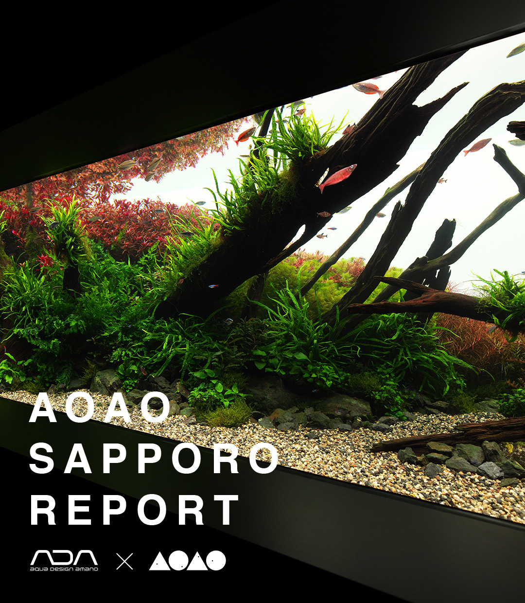 ADA Aqua Soil (New ) ia 9L - Skaii and shrimps