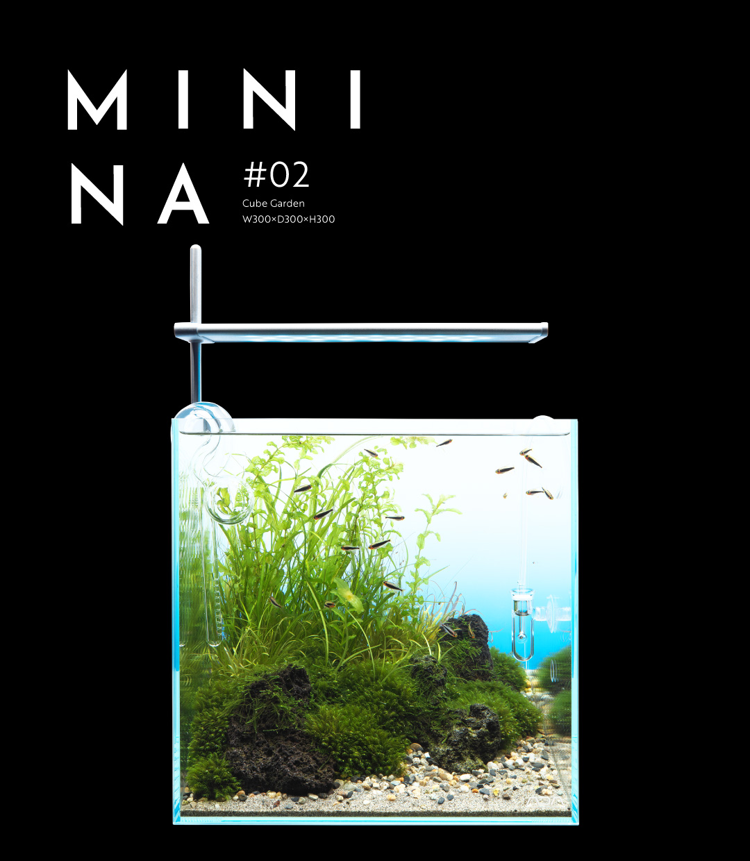 MINI NA_02  Born from clear water currents, the beauty of aquatic plants