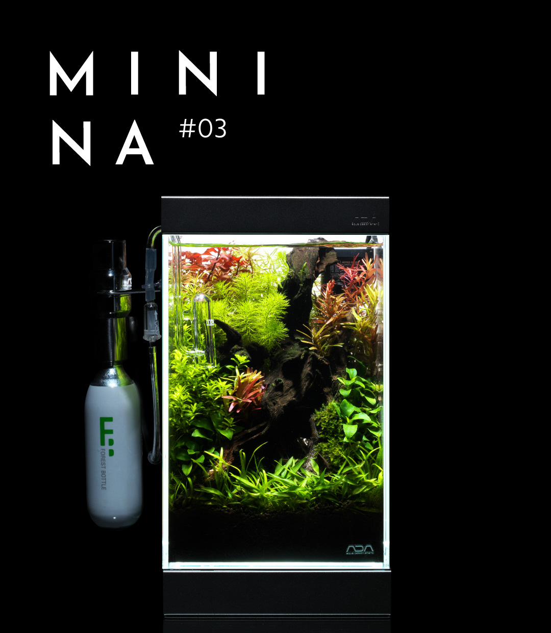 MINI NA_03  Choosing a small but authentic aquarium system